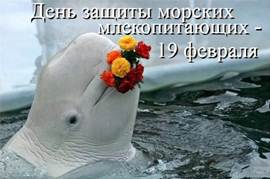 http://stihi-dari.ru/wp-content/uploads/2012/07/09255f8b81d4058b383dea294fb2f2e1-1.jpg