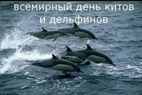 http://vpodarok.su/uploads/posts/2012-05/1336797328_vsemirnyy-den-kitov-i-delfinov.jpeg